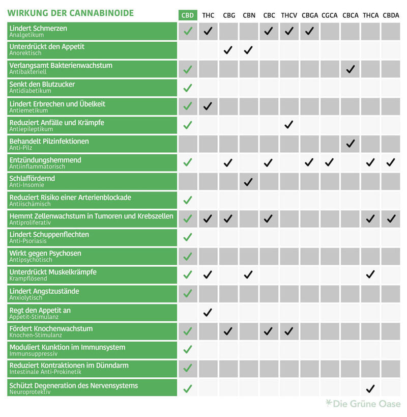THC und CBD Wirkungen Vergleich